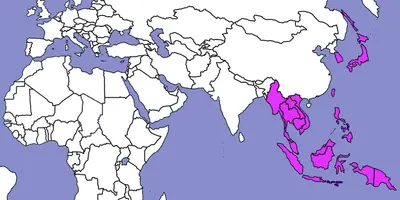 Jihovýchodní Asie: Samohybné houfnice, raketomety, minomety